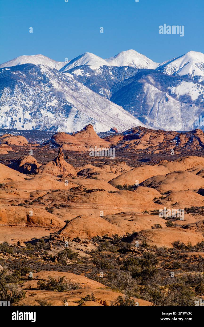 The Petrified Dunes in Arches National Park with the snowcapped La Sal