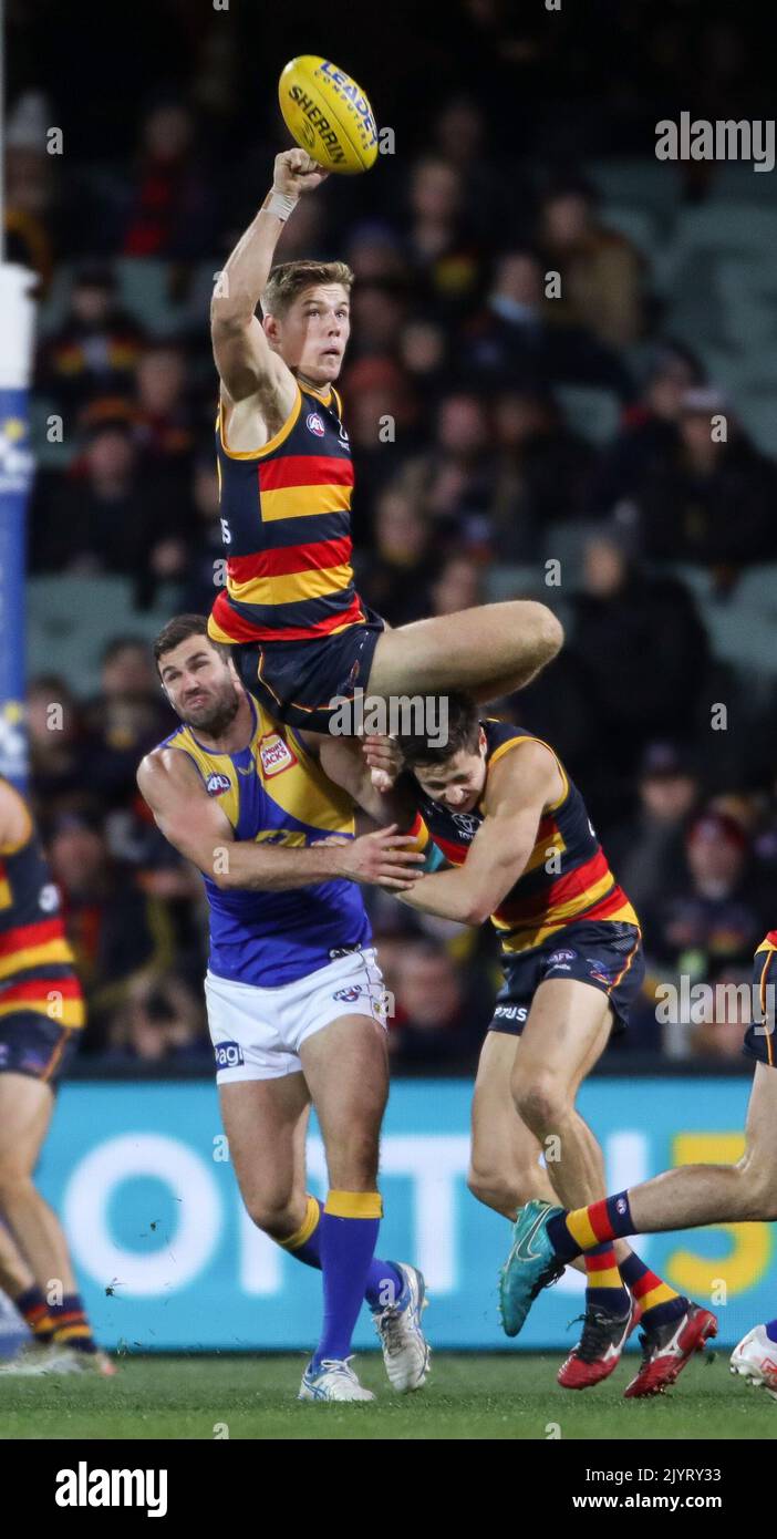 Nick Murray of the Crows flies over the pack during the Round 18 AFL ...