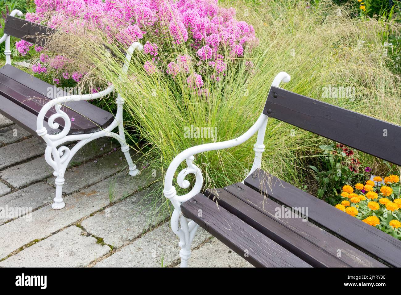 Relax place garden Pink Flowers, Garden phlox, Two Benches in garden, Peaceful, Place herbaceous border seat Stock Photo