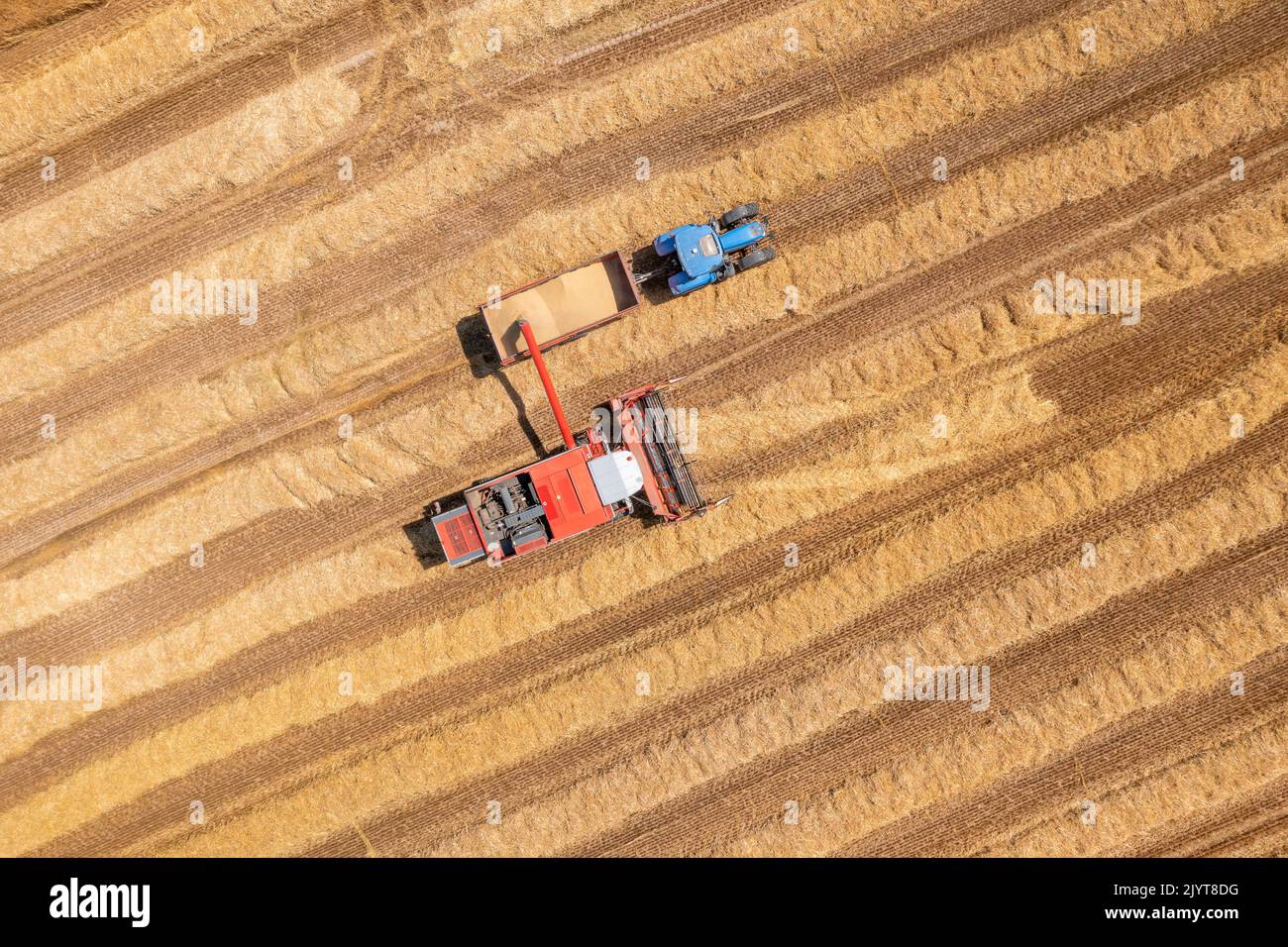 Harvesting a barley field on the Opal Coast in summer, Pas de Calais, France Stock Photo