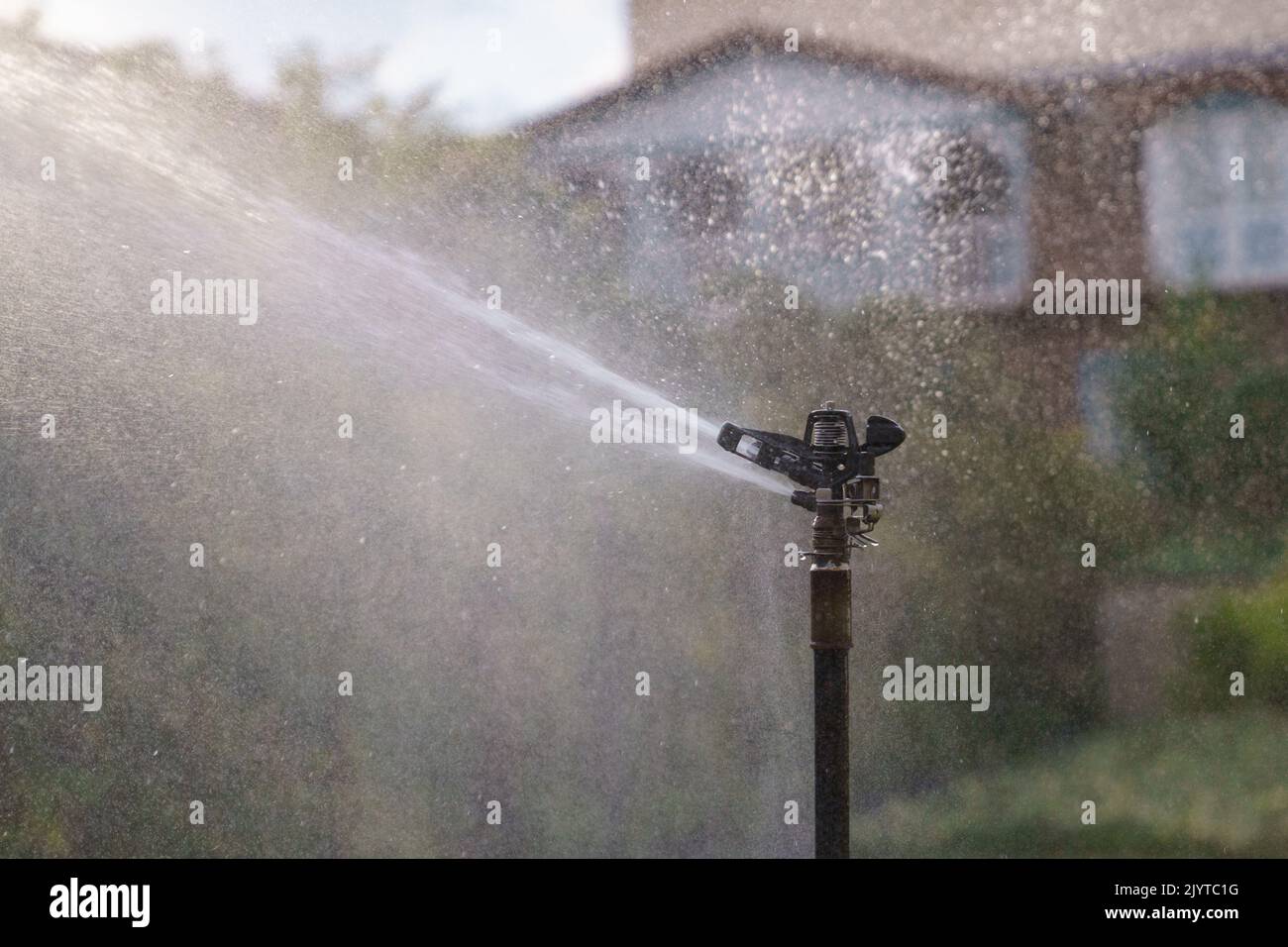 Automatic watering system sprays clean pressurized water droplets on