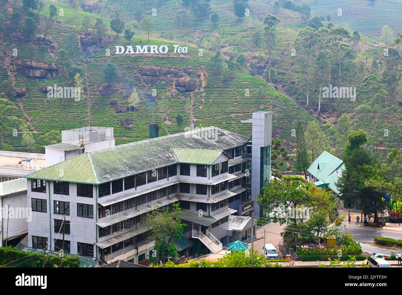 Tea plantation and factory of the company Damro Tea on the mountains around the city of Nuwara Aliya. Nuwara Eliya. Sri Lanka. Stock Photo