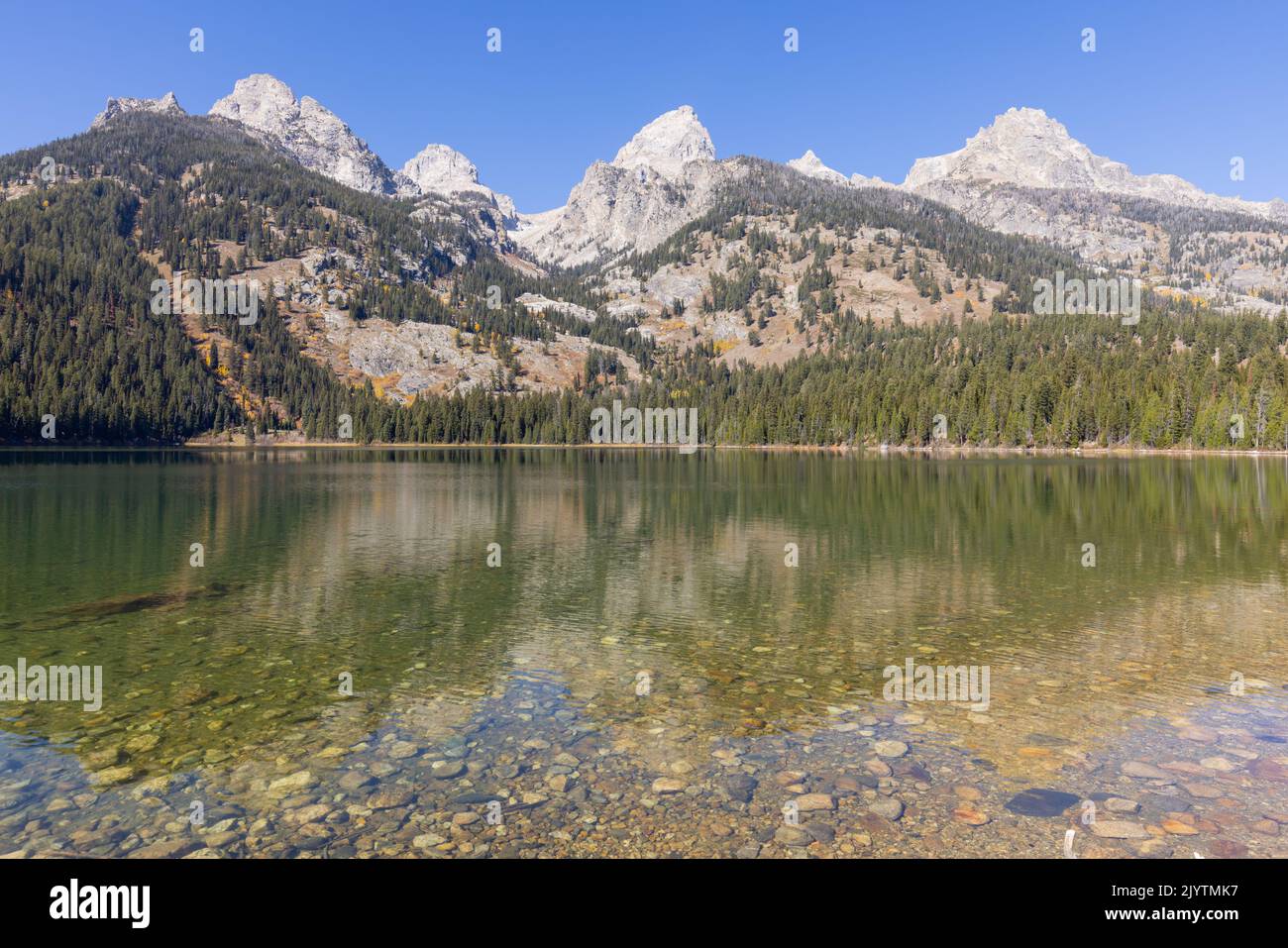 Scenic Reflection Landscape in the Tetons in Autumn Stock Photo - Alamy
