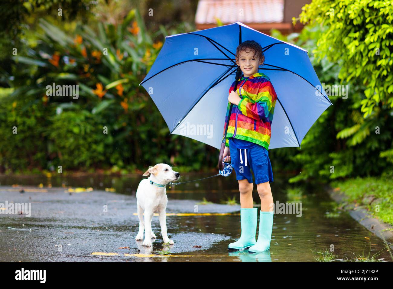 Kid and dog playing in the rain in autumn park. Child walking puppy