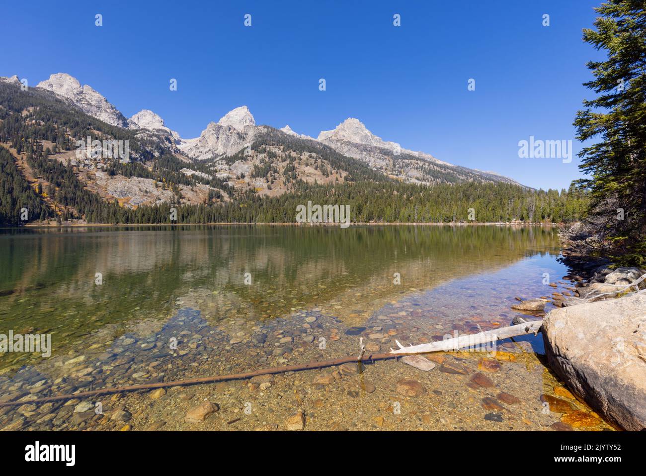 Scenic Reflection Landscape in the Tetons in Autumn Stock Photo - Alamy