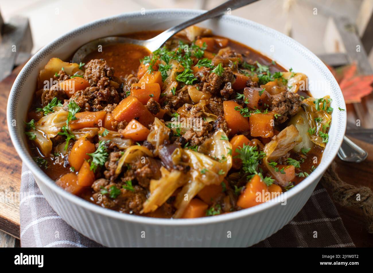 Ground beef stew with vegetables and cabbage Stock Photo