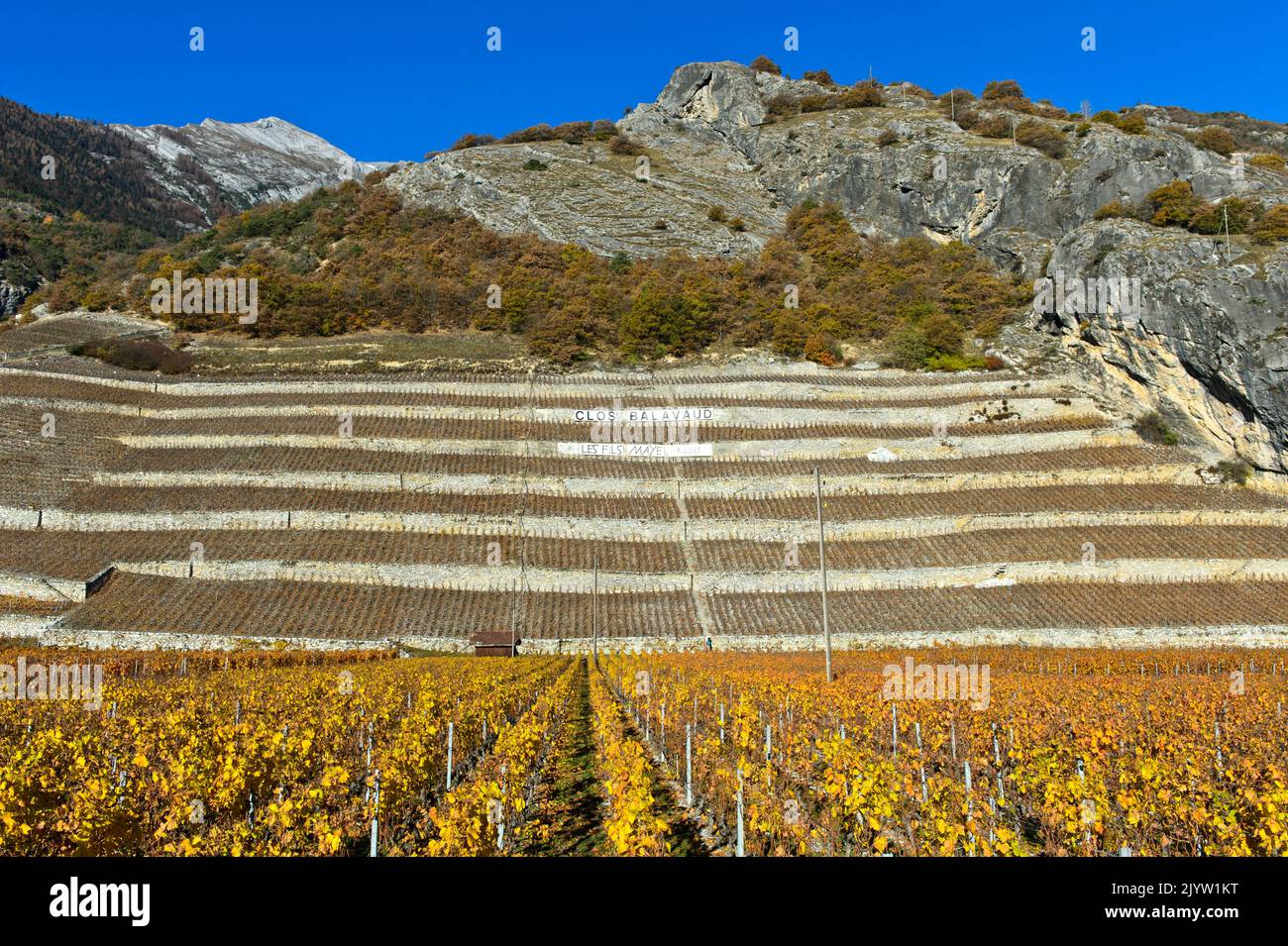 Vineyard terraces for the cultivation of the Clos de Balavaud white wine of the Fils Maye winery, Vétroz, Valais, Switzerland Stock Photo