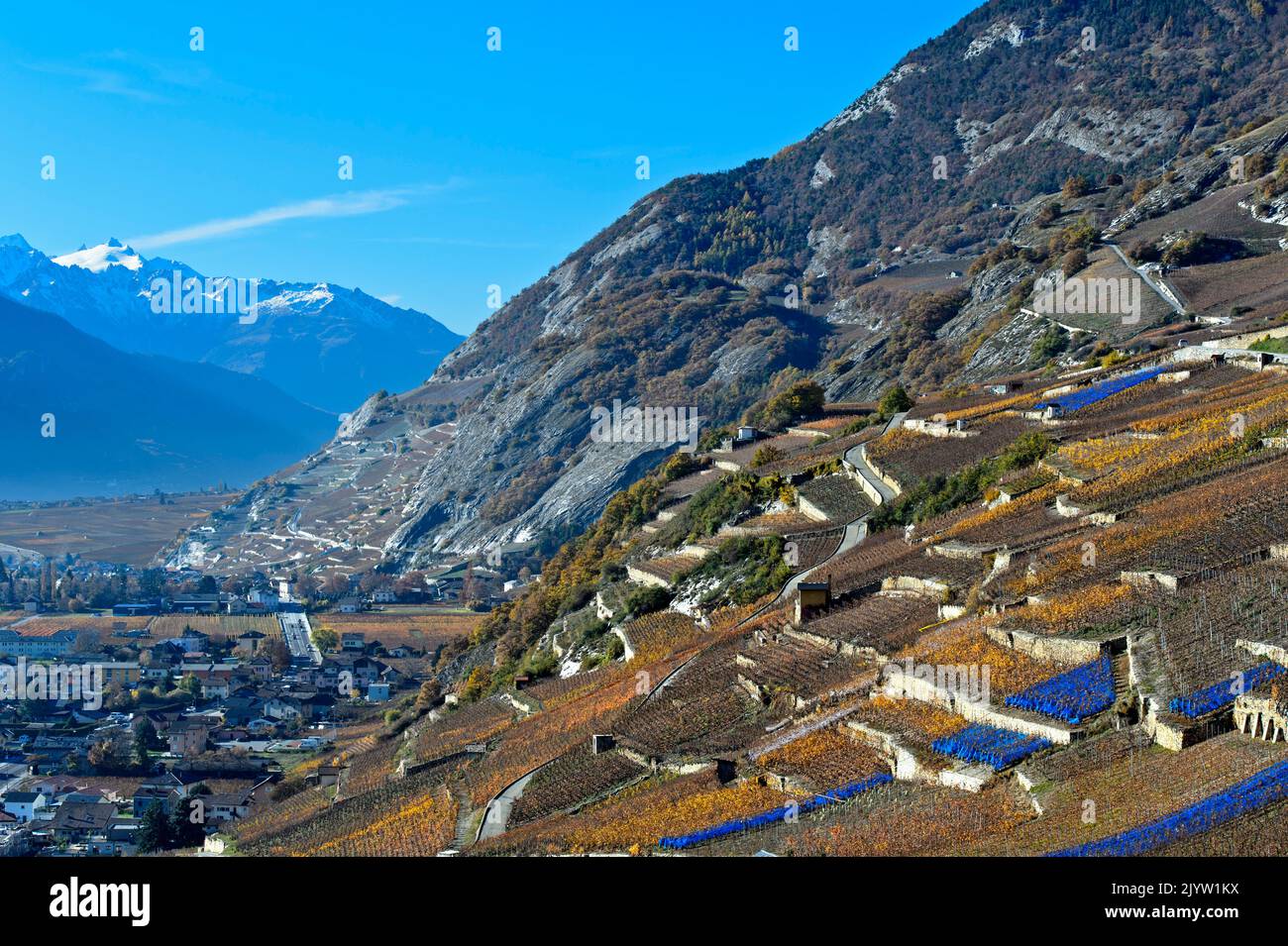 Vineyard terraces on the sunny hillside above the Rhone Valley, Vétroz, Valais, Switzerland Stock Photo