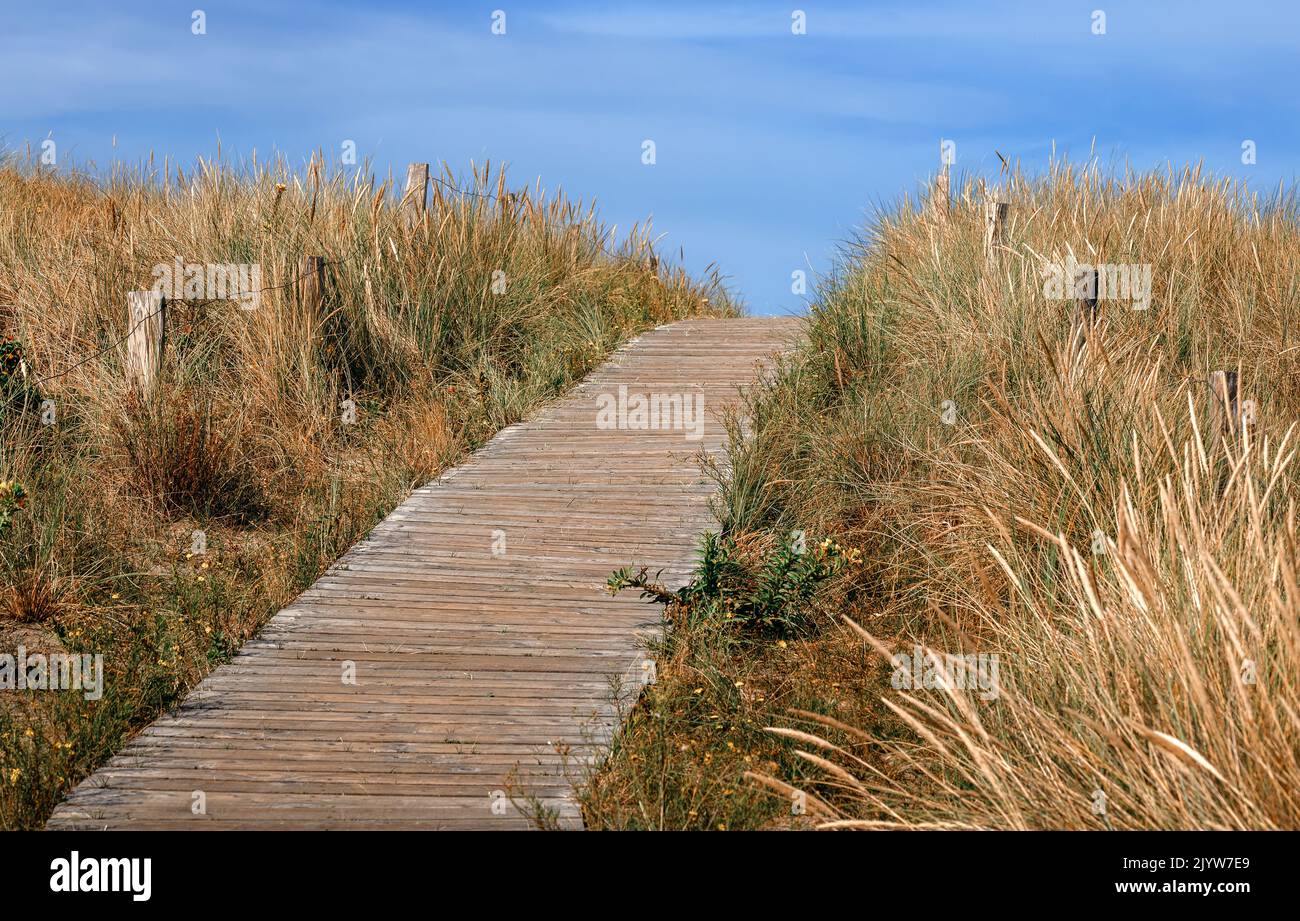 Wooden walkway between the dunes to the beach Stock Photo