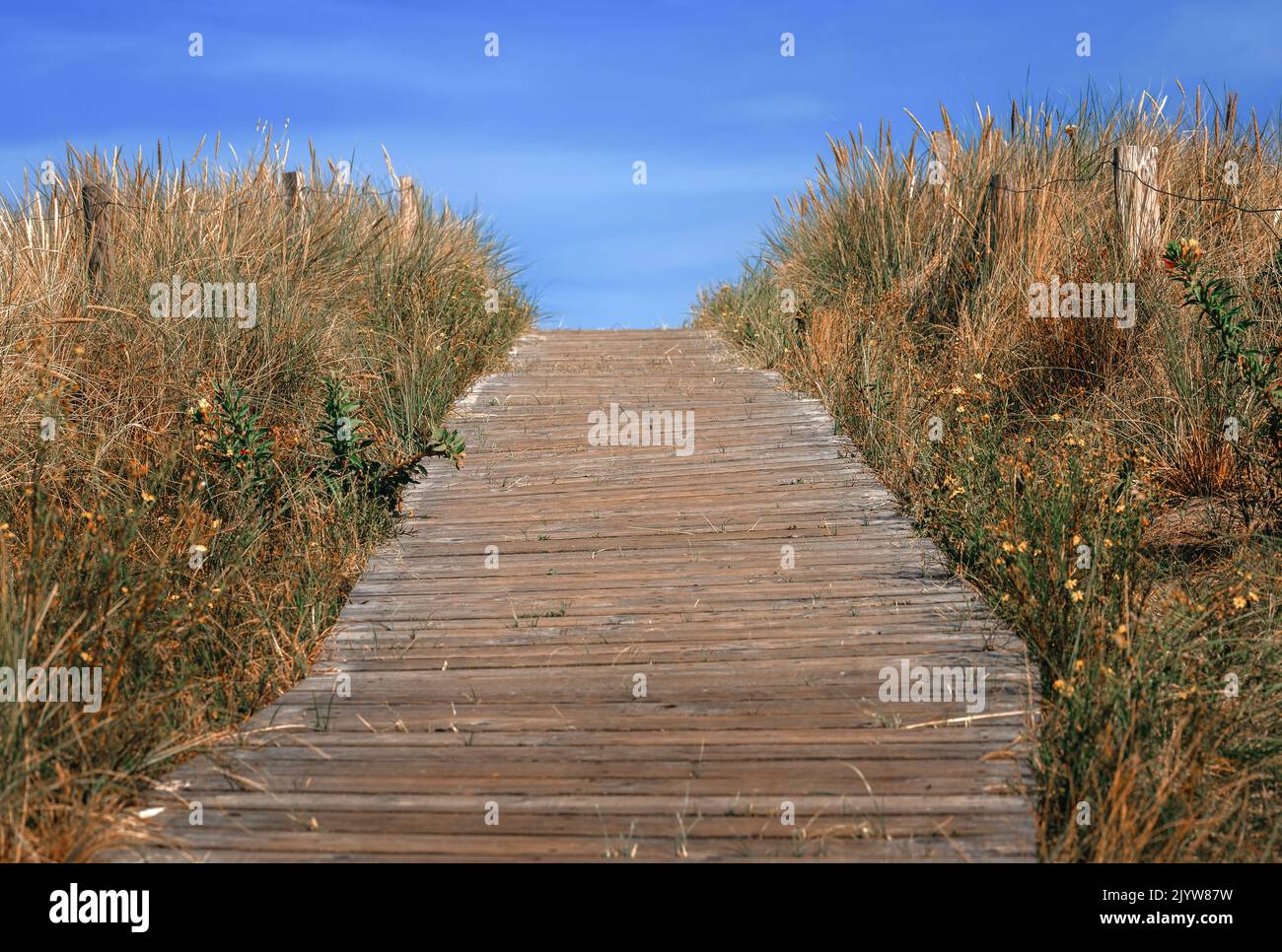 Wooden walkway between the dunes to the beach Stock Photo