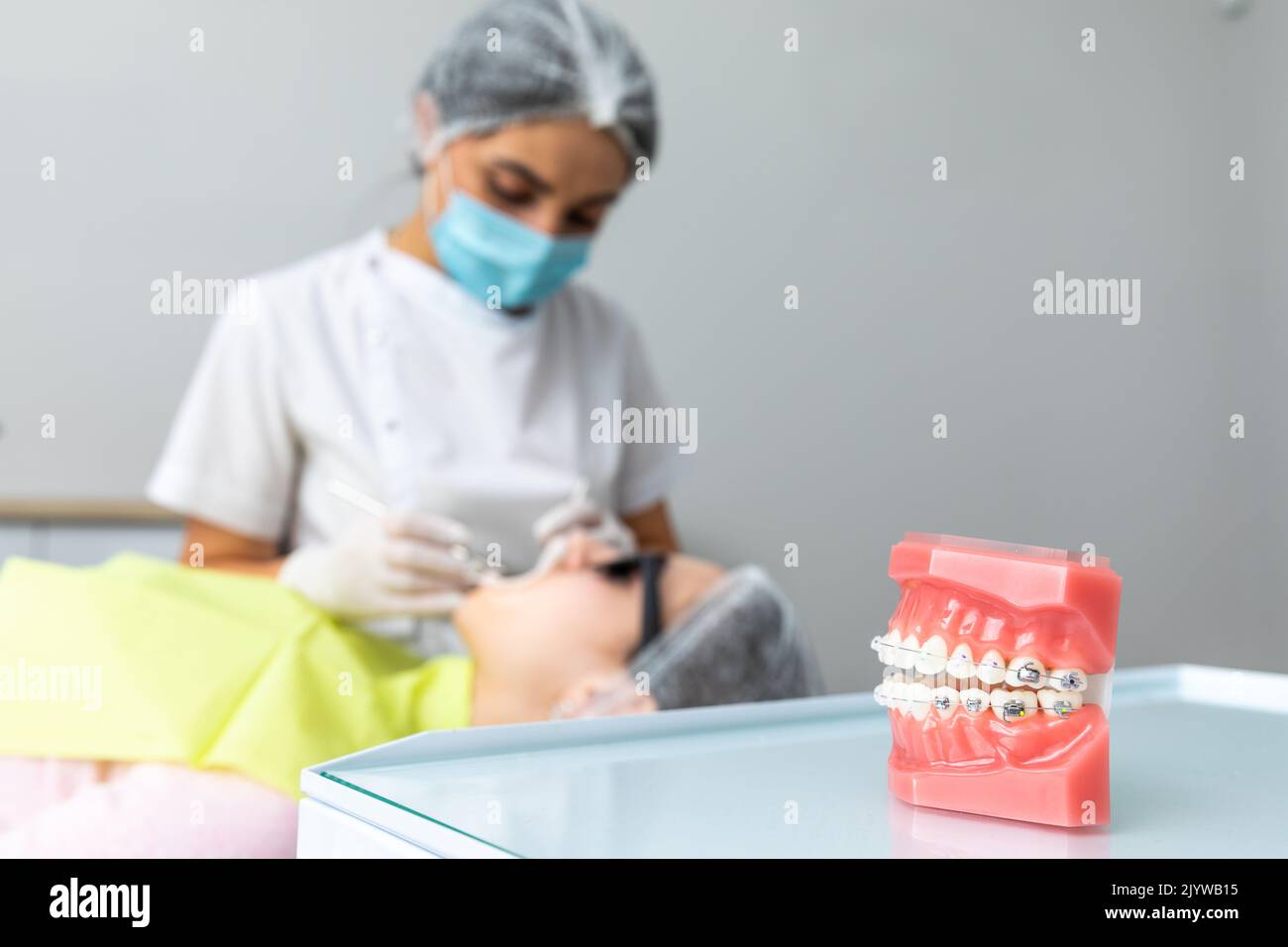 Orthodontic model and dentist tool. Teeth model of varities of