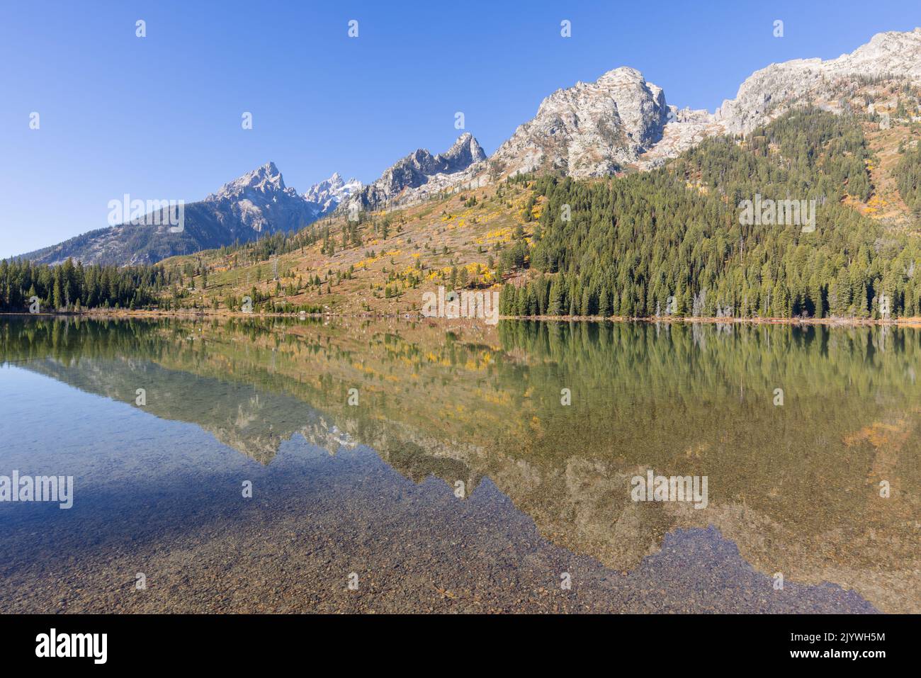 Scenic Reflection Landscape in the Tetons in Autumn Stock Photo - Alamy