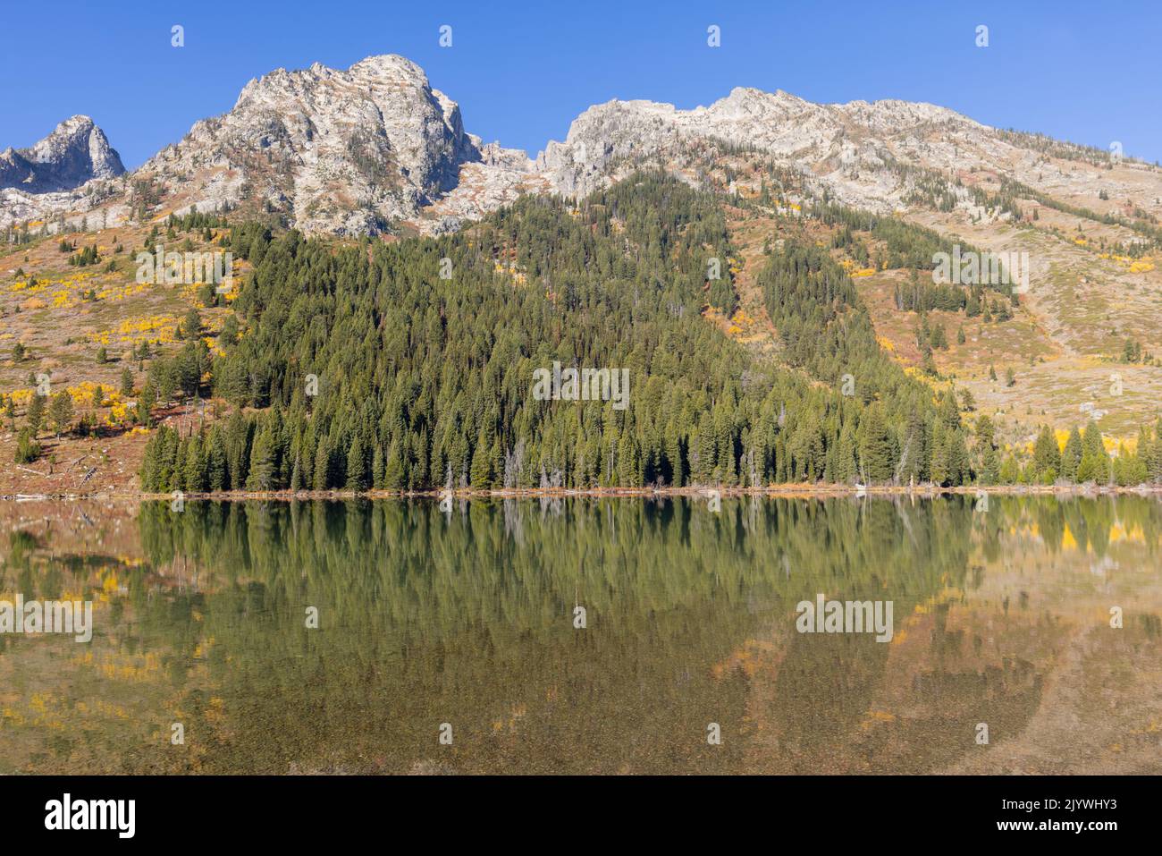 Scenic Reflection Landscape in the Tetons in Autumn Stock Photo - Alamy