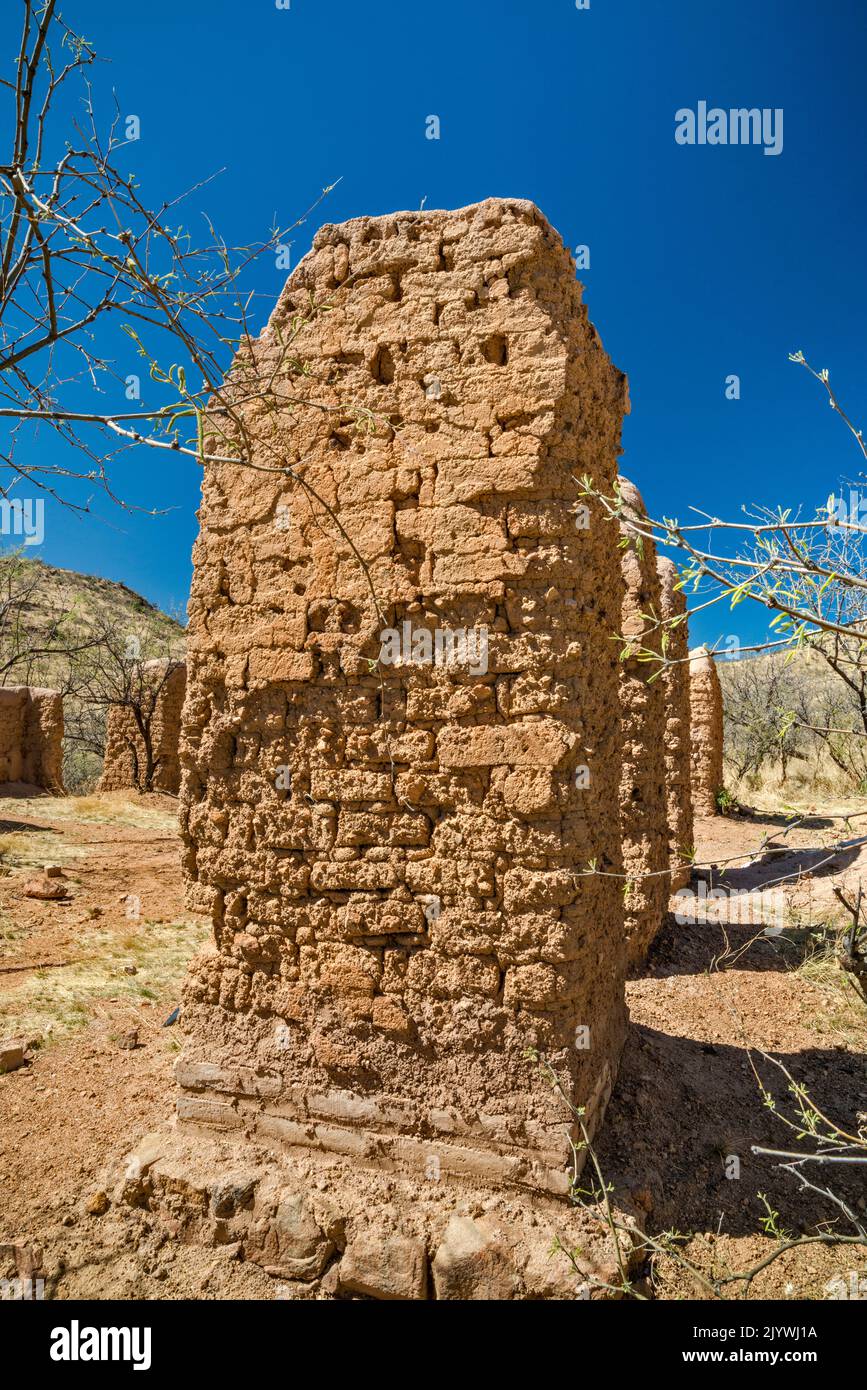 Adobe ruins at Alto Camp, Bond Canyon, Salero Road (Forest Road 143), Santa Rita Mountains, Coronado National Forest, Arizona, USA Stock Photo