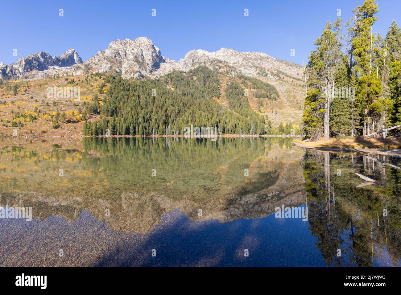 Scenic Reflection Landscape in the Tetons in Autumn Stock Photo - Alamy