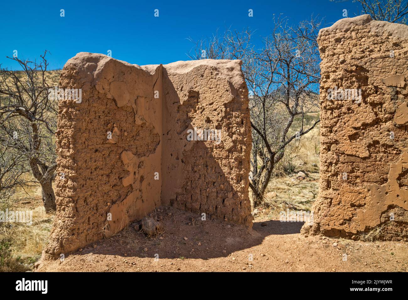 Adobe ruins at Alto Camp, Bond Canyon, Salero Road (Forest Road 143), Santa Rita Mountains, Coronado National Forest, Arizona, USA Stock Photo