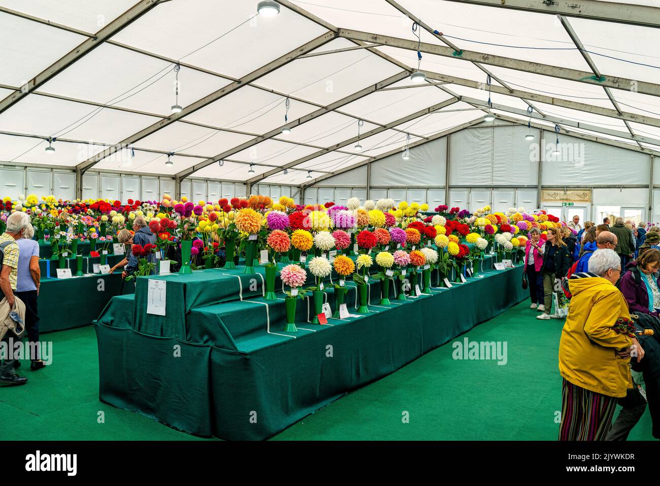 RHS Wisley Flower Show, September 2022 Stock Photo Alamy