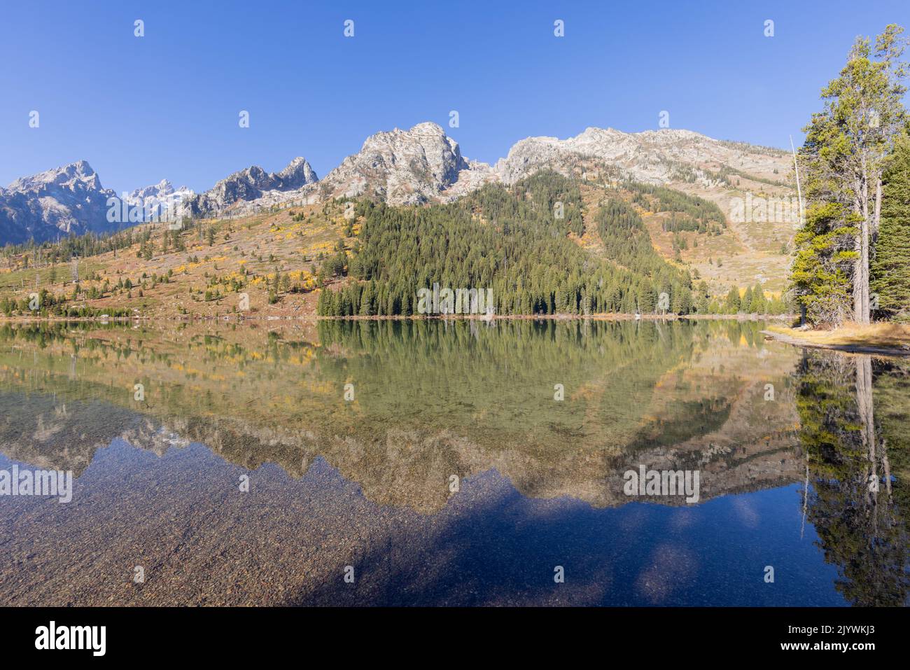 Scenic Reflection Landscape in the Tetons in Autumn Stock Photo - Alamy