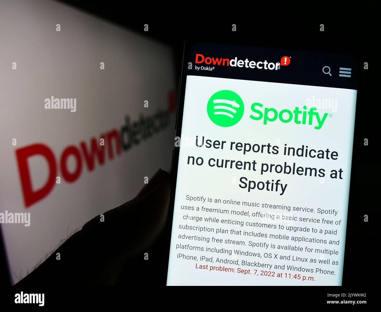 Person holding smartphone with website of platform Downdetector and Spotify status in front of logo. Focus on phone display. Stock Photo
