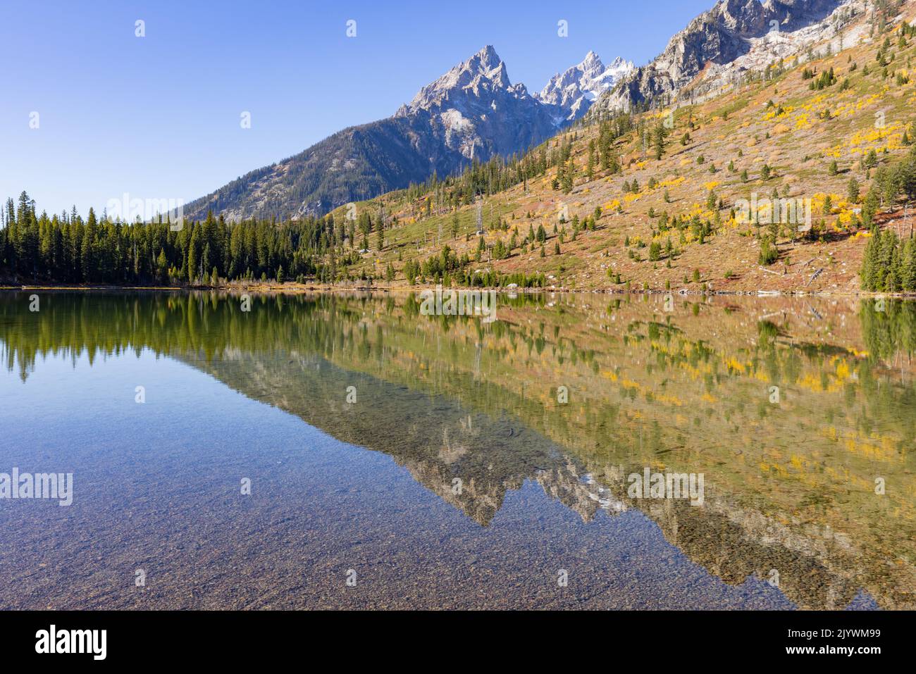 Scenic Reflection Landscape in the Tetons in Autumn Stock Photo - Alamy