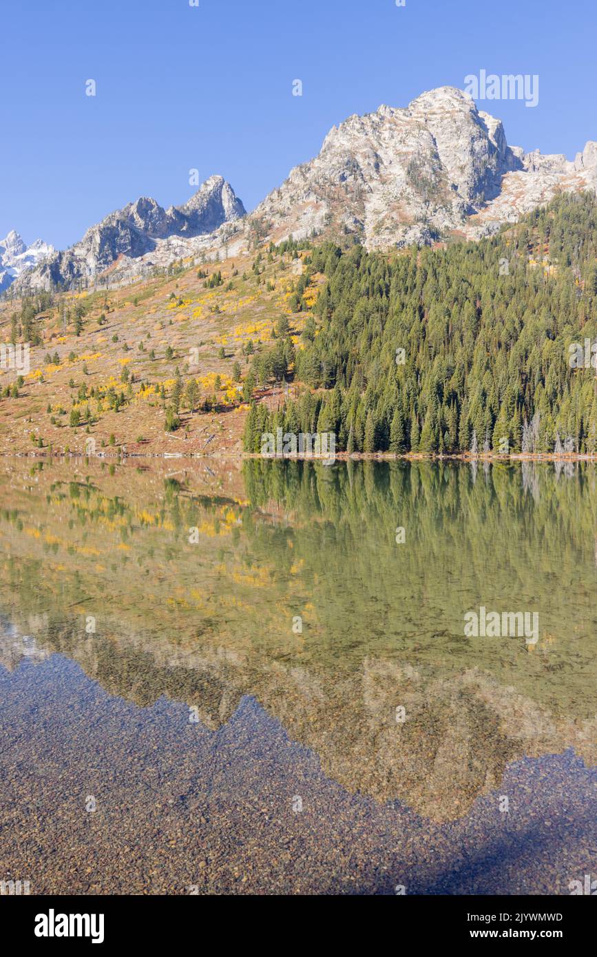 Scenic Reflection Landscape in the Tetons in Autumn Stock Photo - Alamy