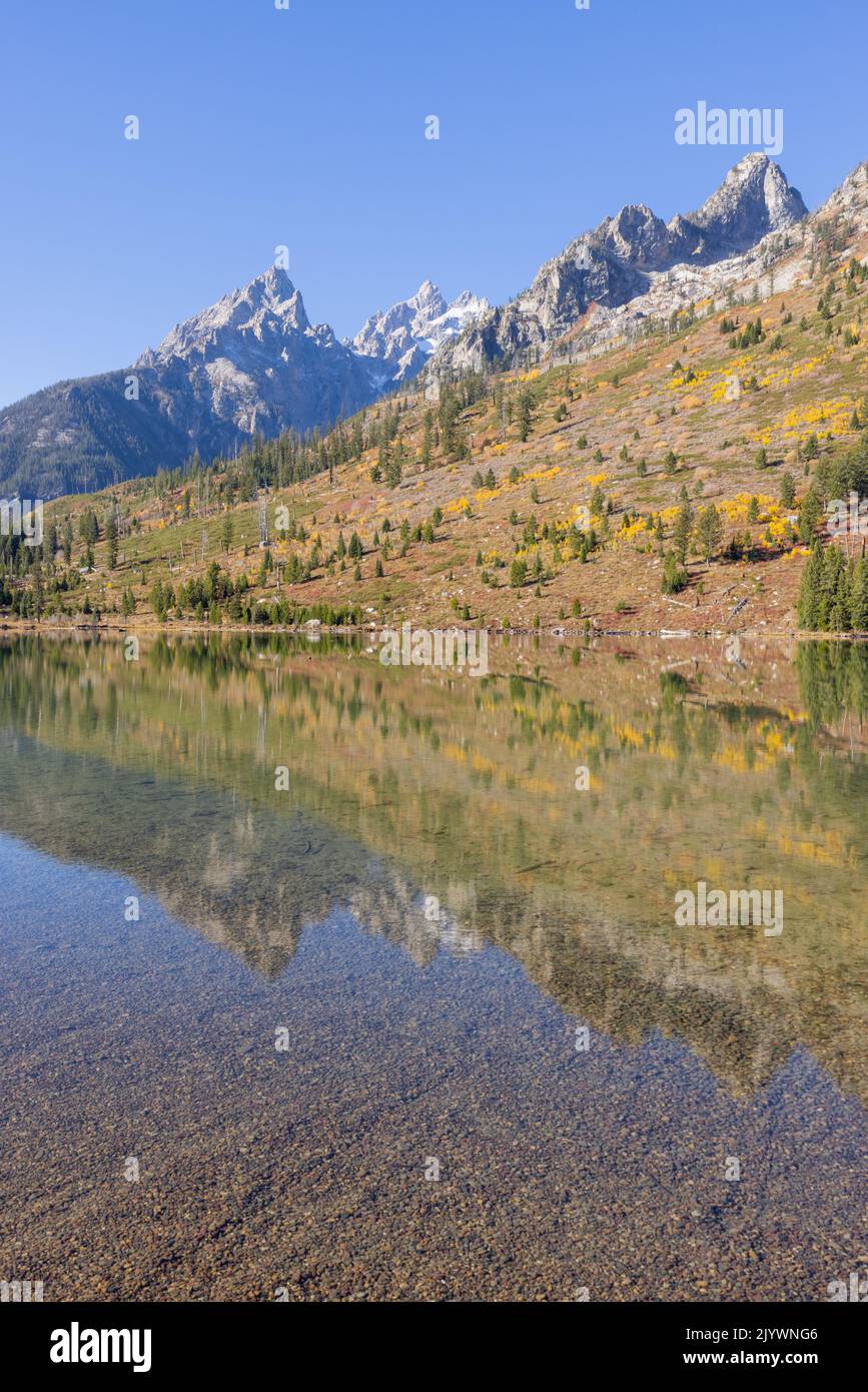 Scenic Reflection Landscape in the Tetons in Autumn Stock Photo - Alamy