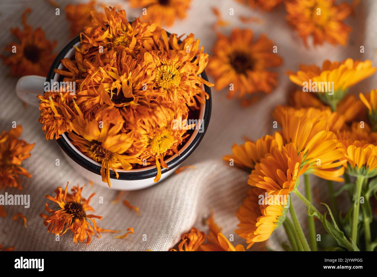 Dried and fresh calendula flowers in a white metal cup Stock Photo Alamy