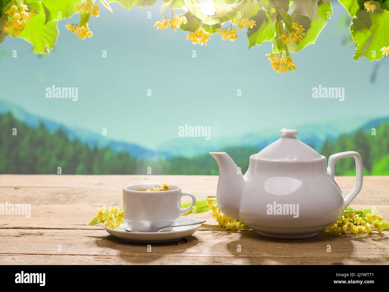 Linden tea on the garden table. Teapot and cup on wooden table. Linden flowers and hot lime tea. Herbal teas concept. Stock Photo