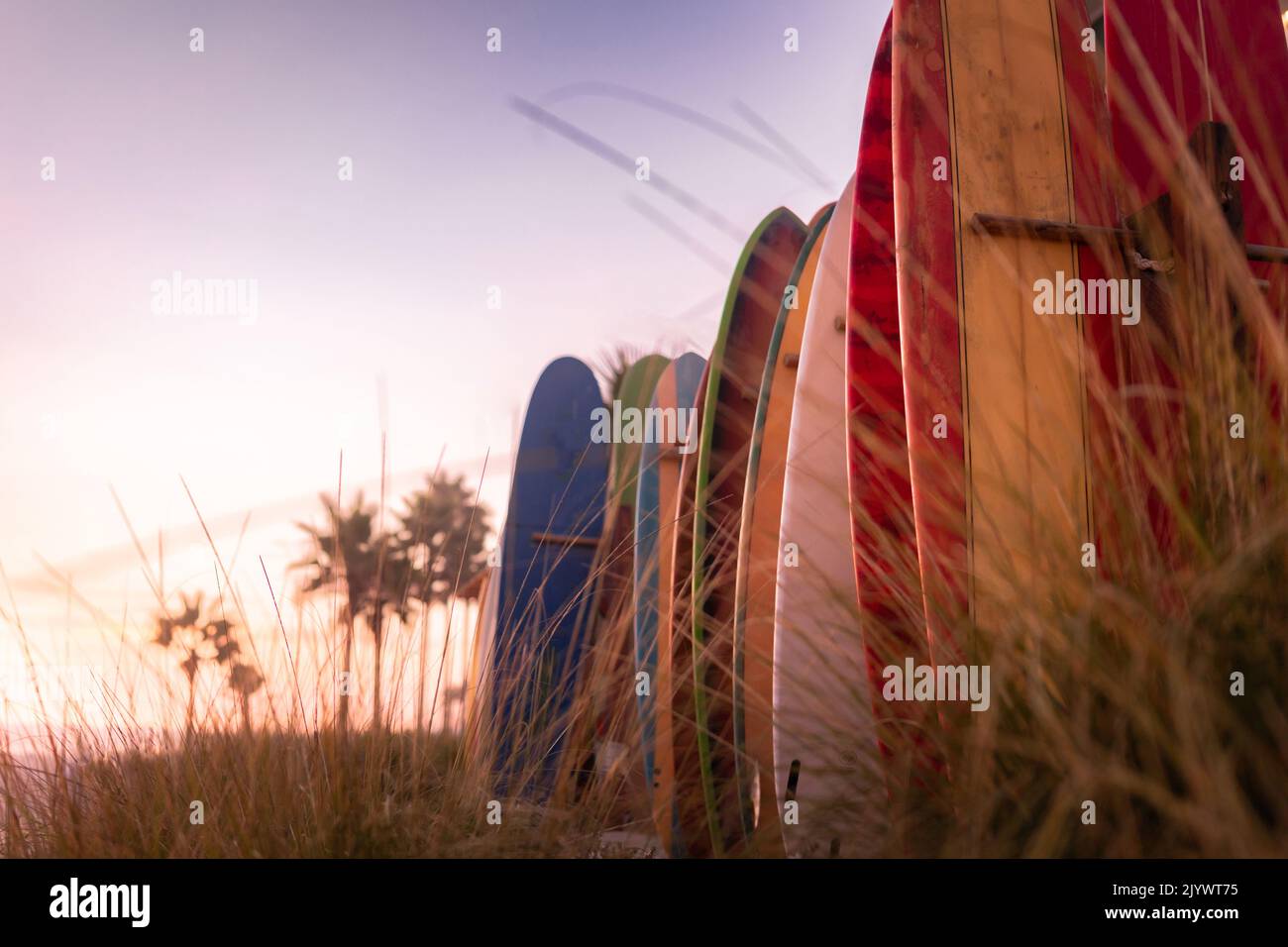 Line up of surfboards at a boardwalk on the beach Stock Photo Alamy