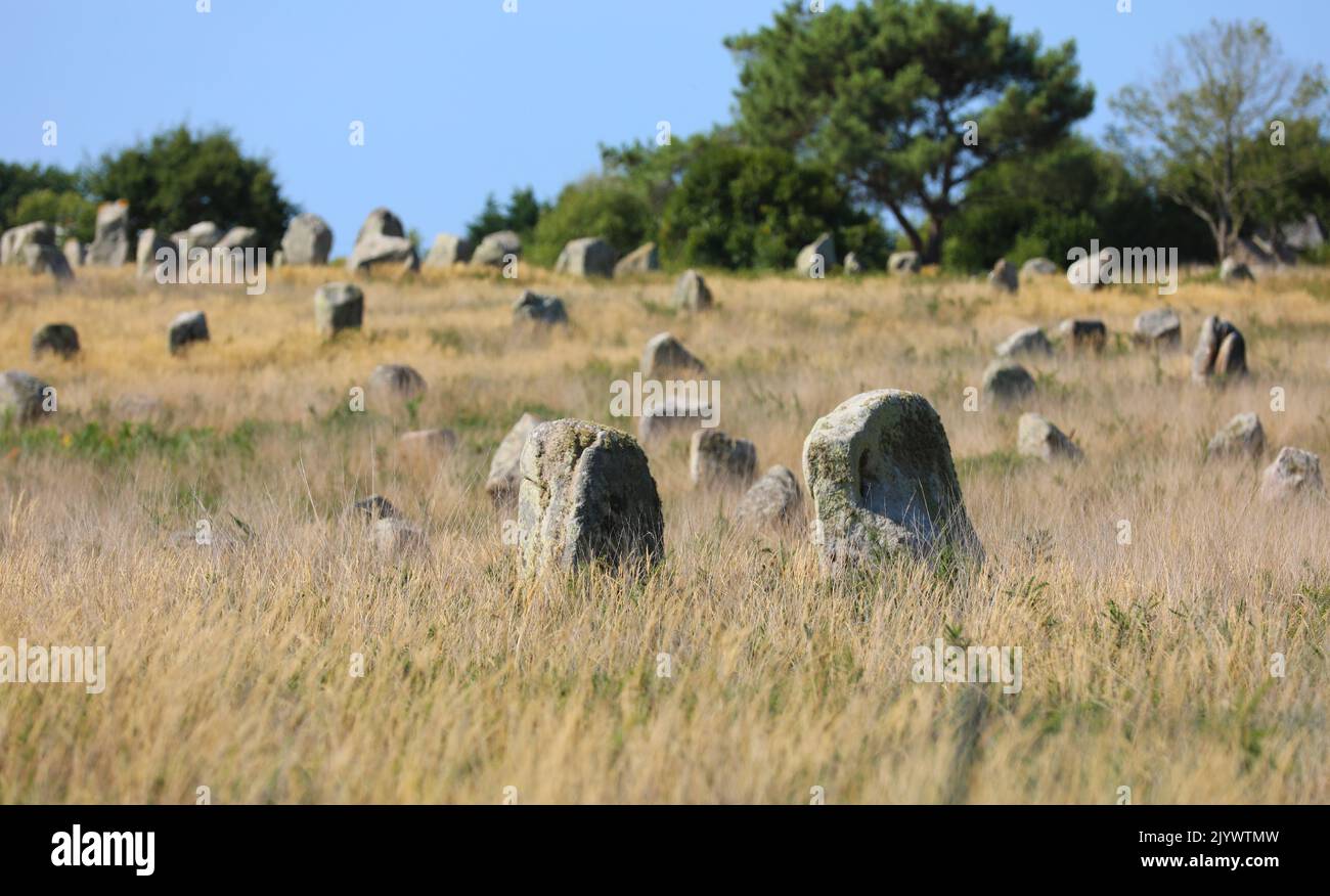Menhirs near Carnac in Bretagne Brittany Stock Photo