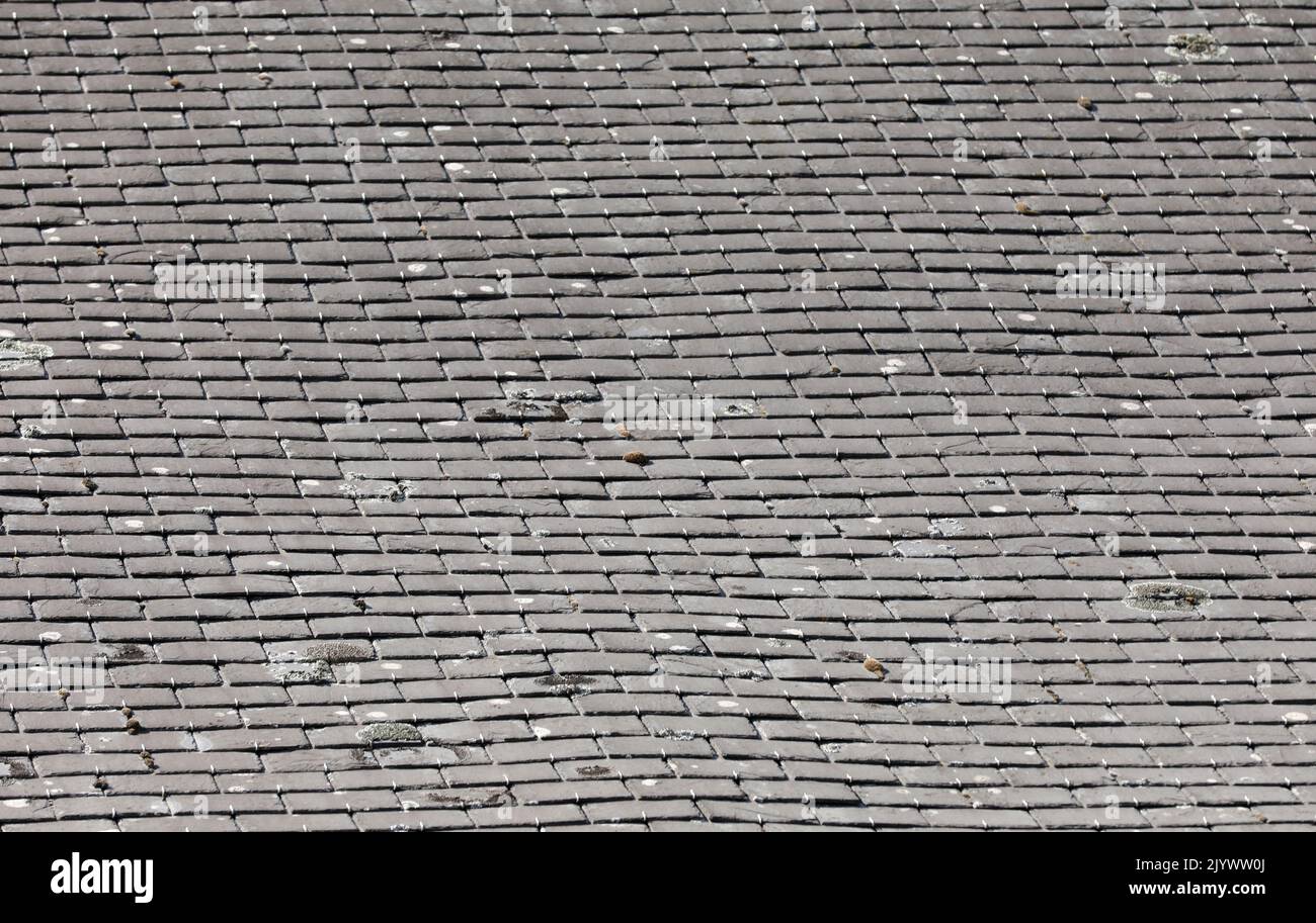 House roof in Bretagne Brittany in France Stock Photo