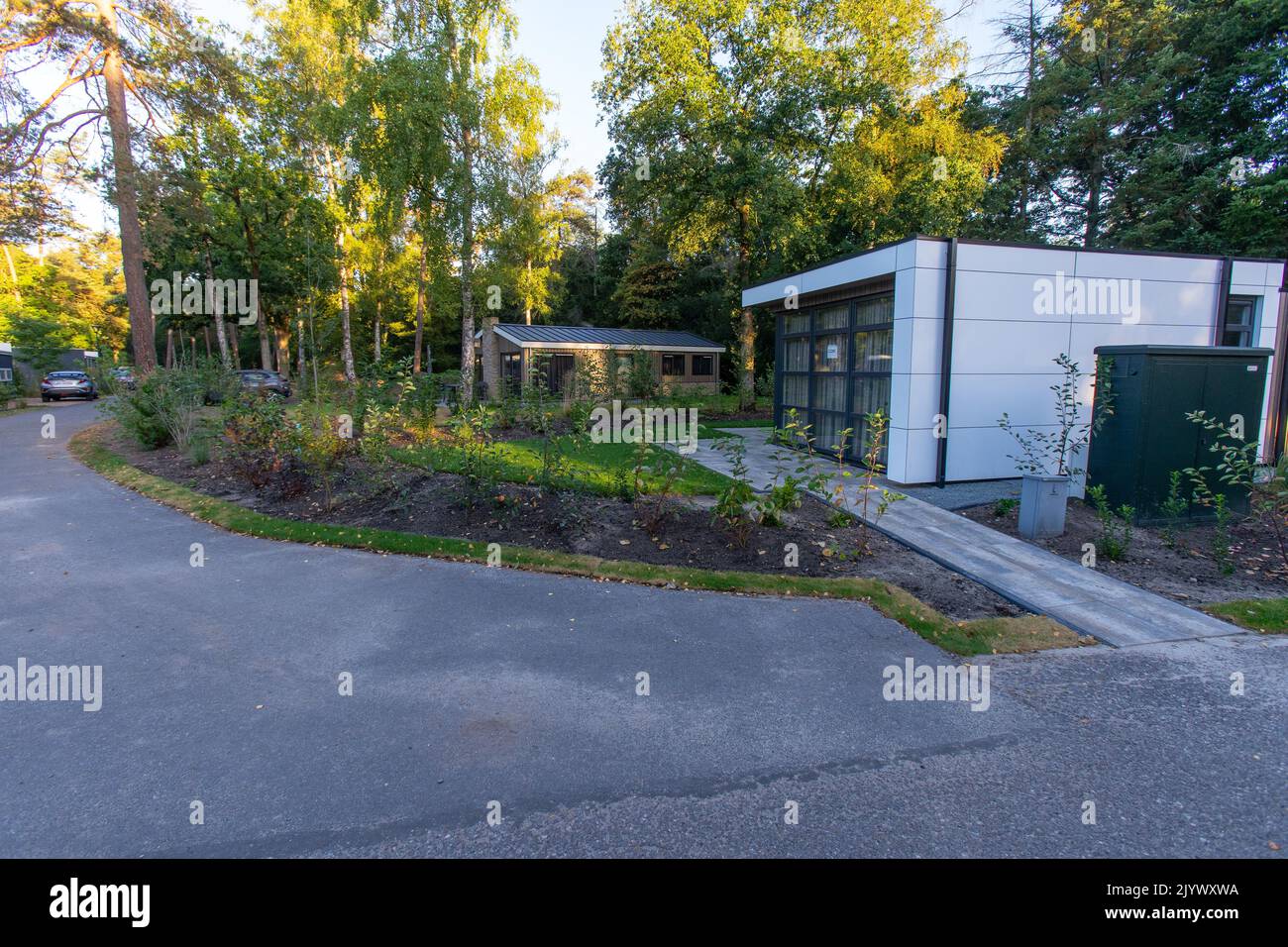 National park de hooge veluwe Stock Photo Alamy