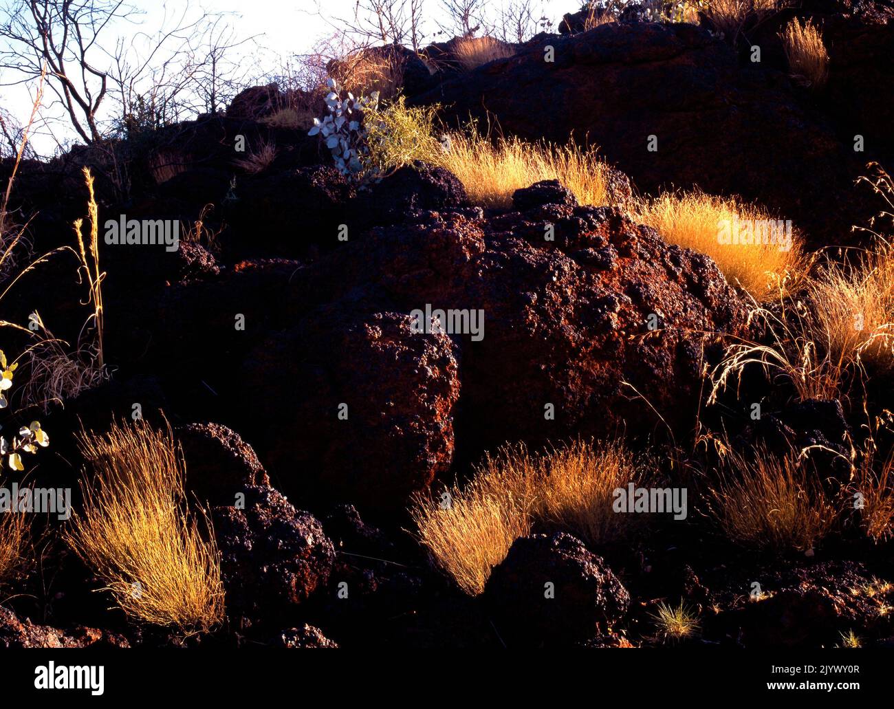 Outback Rock and Spinifex Landscape, Pilbara, Northwest Australia Stock Photo