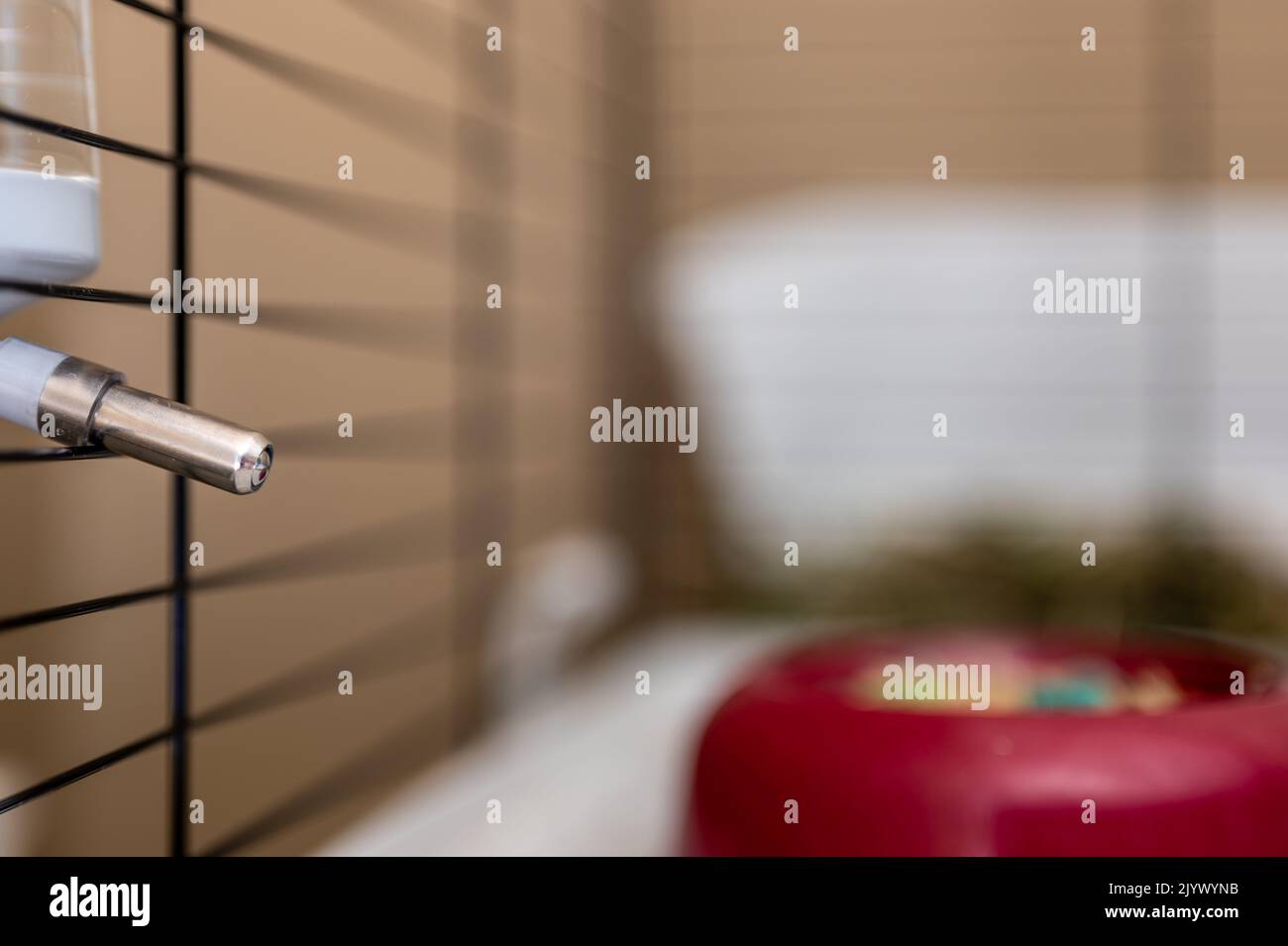 Selective focus on a water bottle mounted on the bars of a small animal cage.  Stock Photo