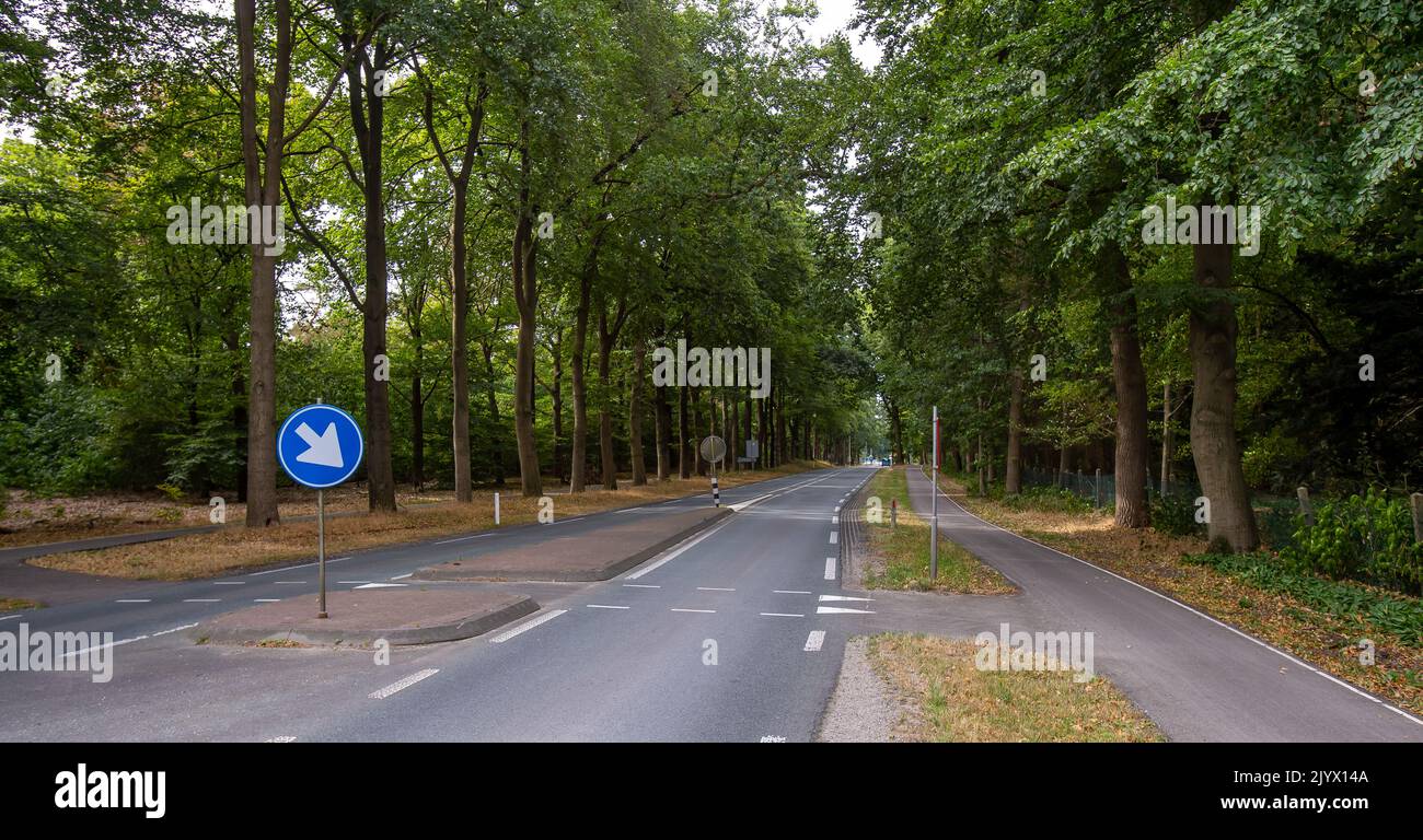 National park de hooge veluwe Stock Photo Alamy