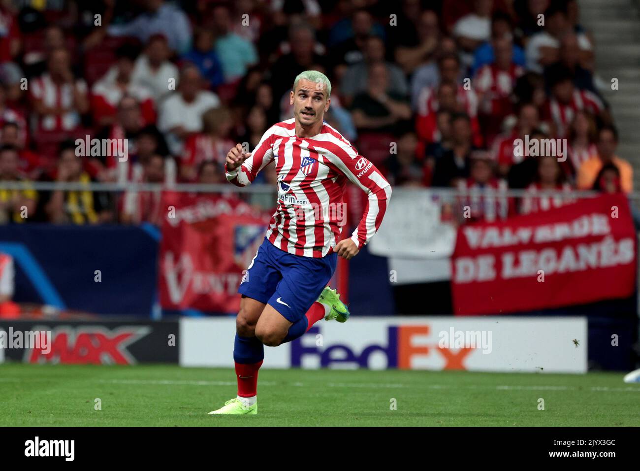 Madrid, Spanien. 07th Sep, 2022. Madrid, Spain: 07.09.2022.- Antonie Griezmann Atletico de Madrid vs Porto Champions League group stage matchday 1 of 6. Held at the Civitas Metropolitano stadium in the Spanish capital. Atletico wins 2-1 goals from Mario Hermoso 90 1 and Antonie Griezmann 90 11  Porto goal scored by Mateus Uribe 90 6 (P) Credit: dpa/Alamy Live News Stock Photo