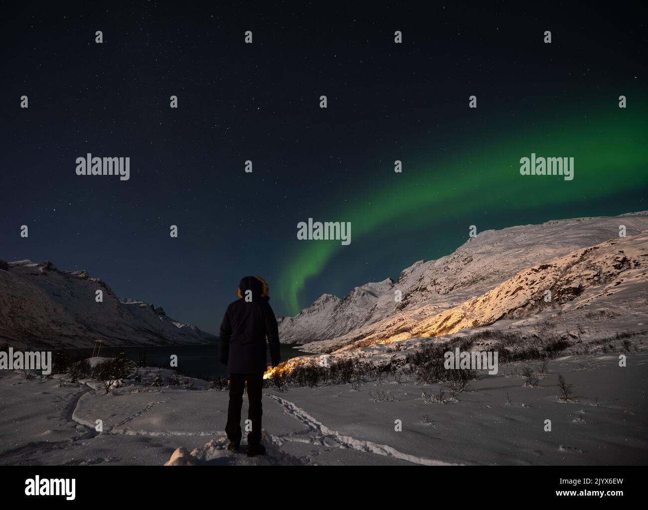 Man admiring northern lights aurora borealis, Tromso , Norway Stock Photo