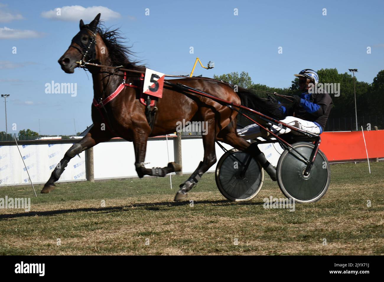 Trotting horse race, jockey on sulky Stock Photo