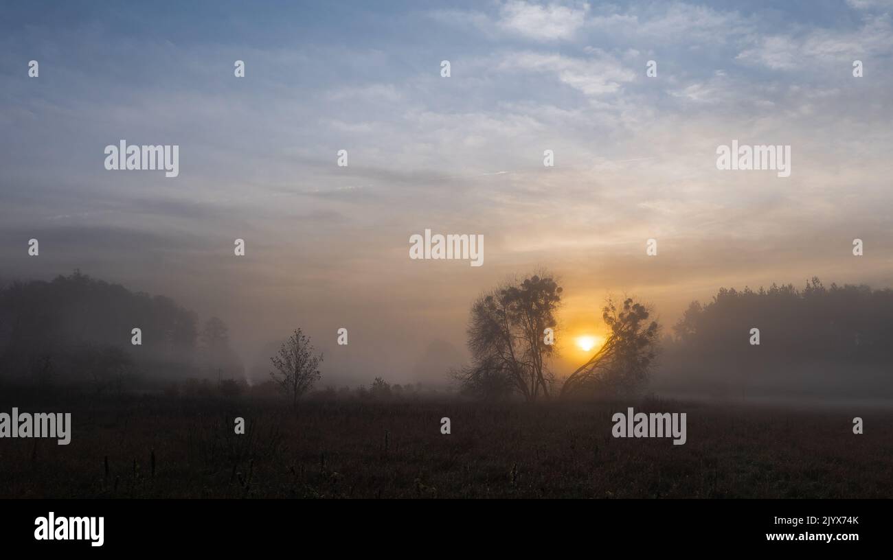 foggy morning in the Polish countryside Stock Photo