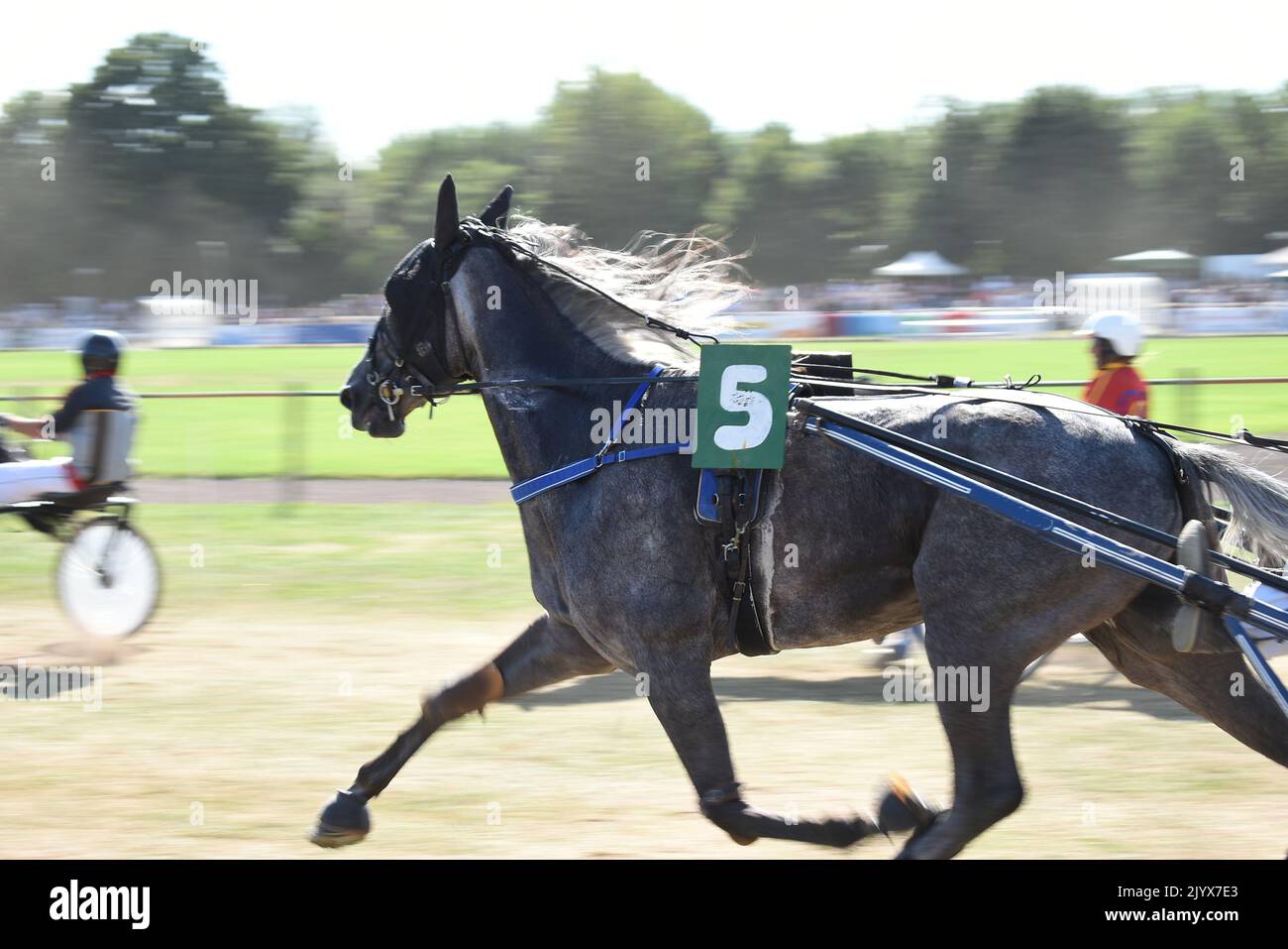 Trotter derby hi-res stock photography and images - Alamy