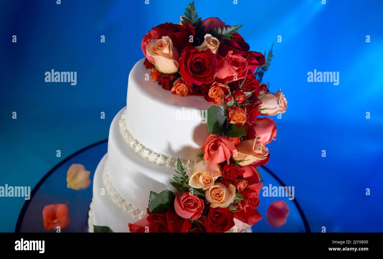 Wedding cake decorated with real roses. Cascading red and pink roses on an elegant three tier, white frosted cake.  Background is a dreamy deep blue Stock Photo