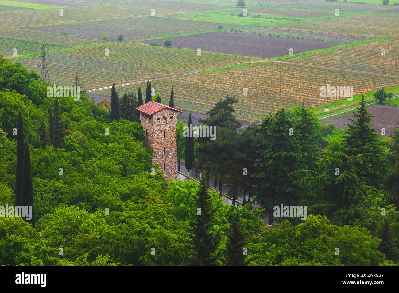 Alazani valley. Landscape with an old tower and grape fields Stock Photo