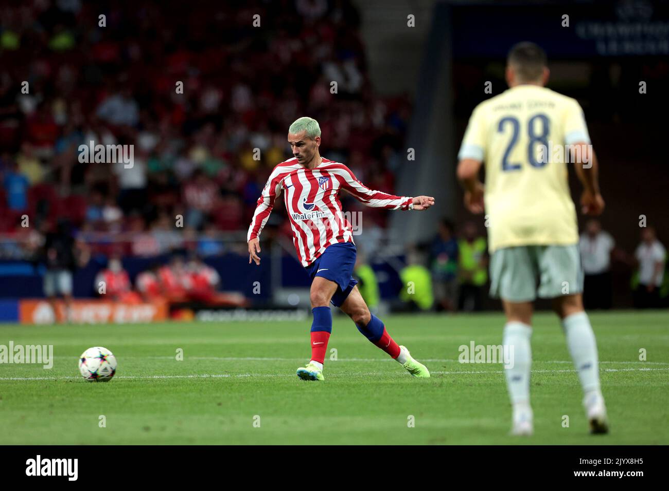 Madrid, Spanien. 07th Sep, 2022. Madrid, Spain: 07.09.2022.- Antonie Griezmann Atletico de Madrid vs Porto Champions League group stage matchday 1 of 6. Held at the Civitas Metropolitano stadium in the Spanish capital. Atletico wins 2-1 goals from Mario Hermoso 90 1 and Antonie Griezmann 90 11  Porto goal scored by Mateus Uribe 90 6 (P) Credit: dpa/Alamy Live News Stock Photo