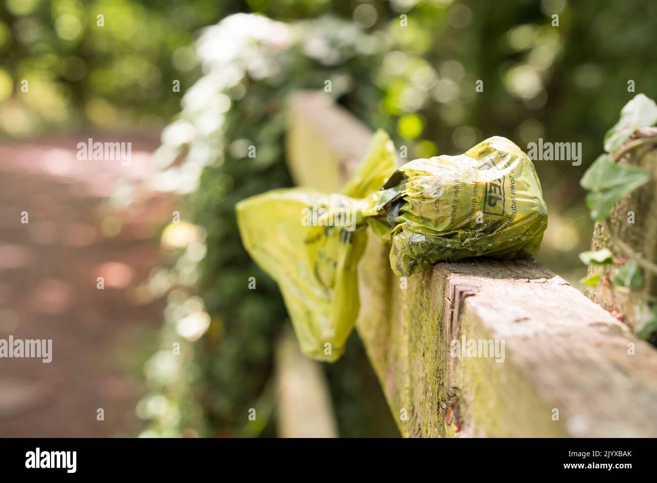 Close up, isolated plastic bag of dog poo kindly left by irresponsible dog owners on wooden fencing in rural beauty spot, UK country park. Stock Photo