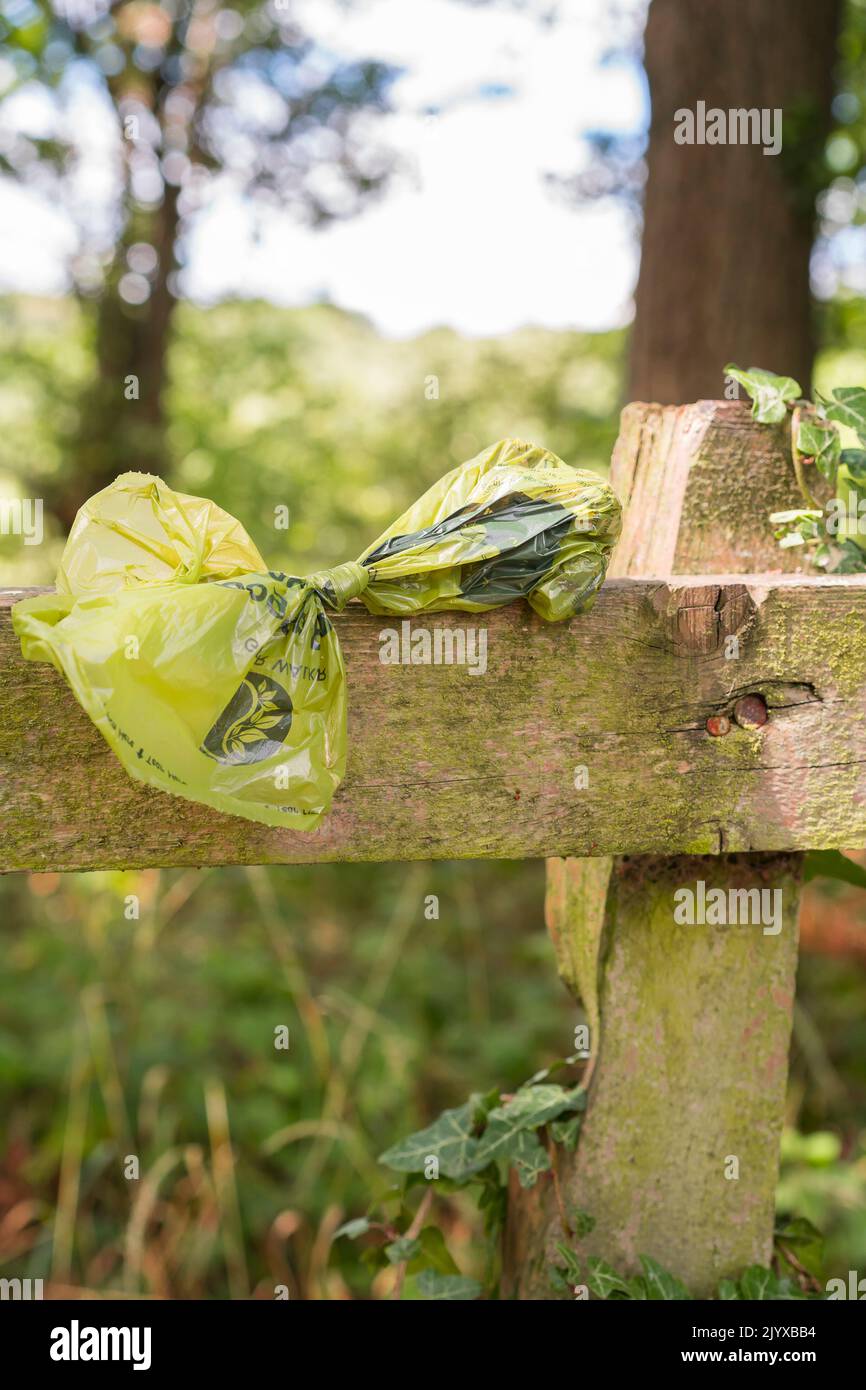 Close up, isolated plastic bag of dog poo kindly left by irresponsible dog owners on wooden fencing in rural beauty spot, UK country park. Stock Photo