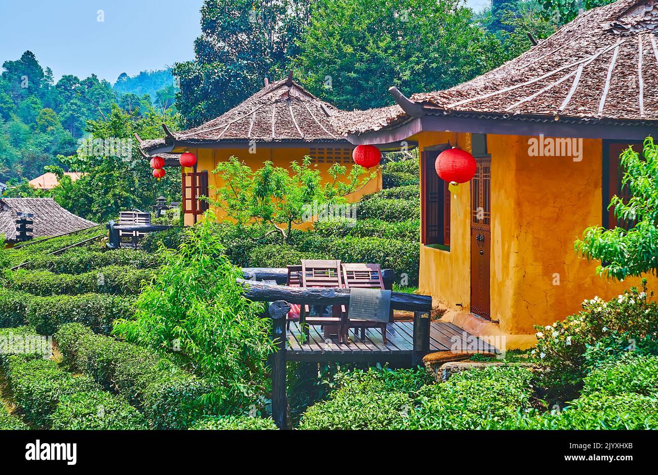 The old adobe Chinese house amid tea shrubs, Ban Rak Thai Yunnan tea