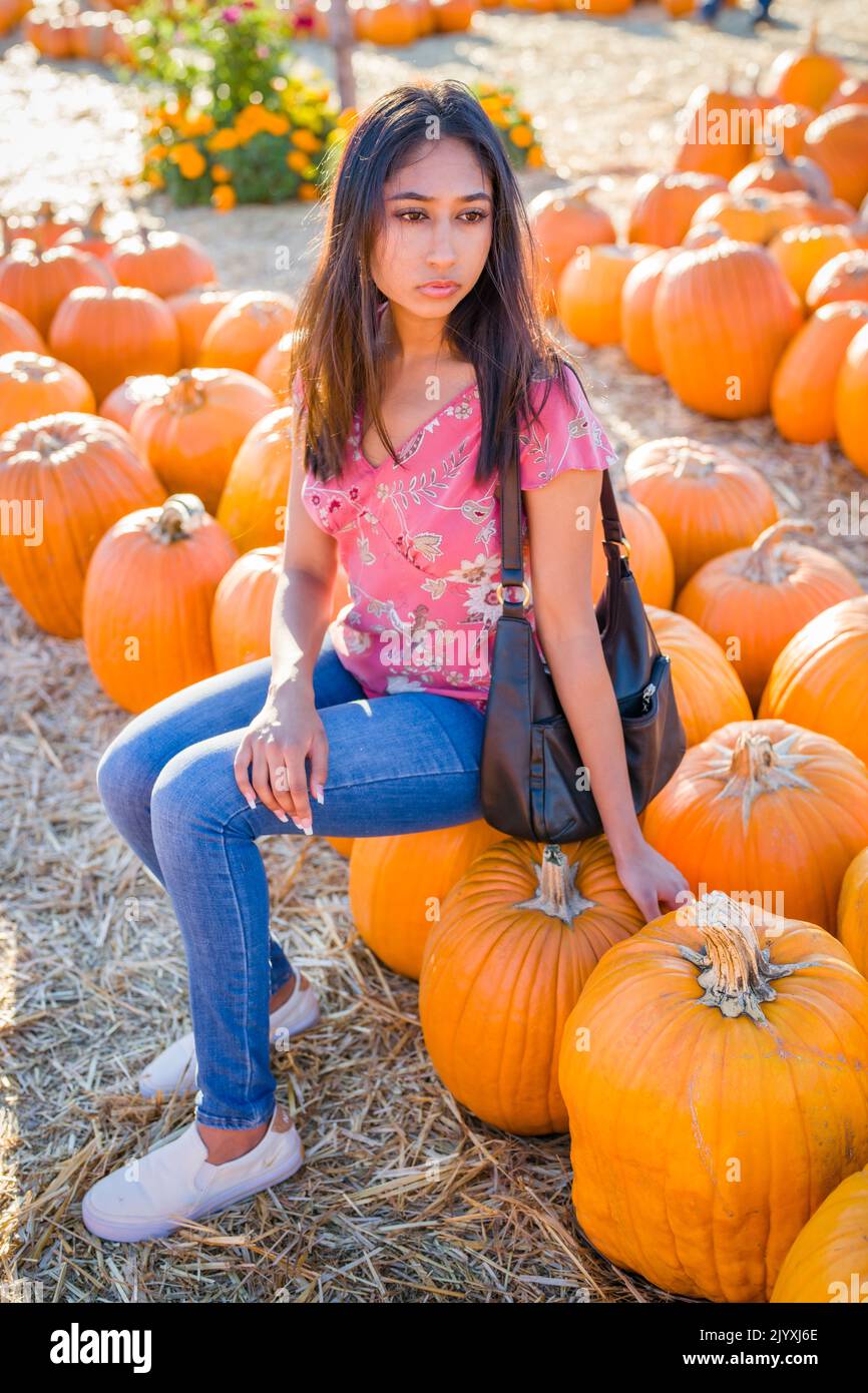 Fall Celebration Portrait of a Young Asian Woman Sitting in a Field of Pumpkins Stock Photo