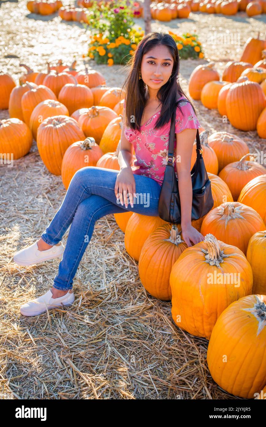 Fall Celebration Portrait of a Young Asian Woman Sitting in a Field of Pumpkins Stock Photo