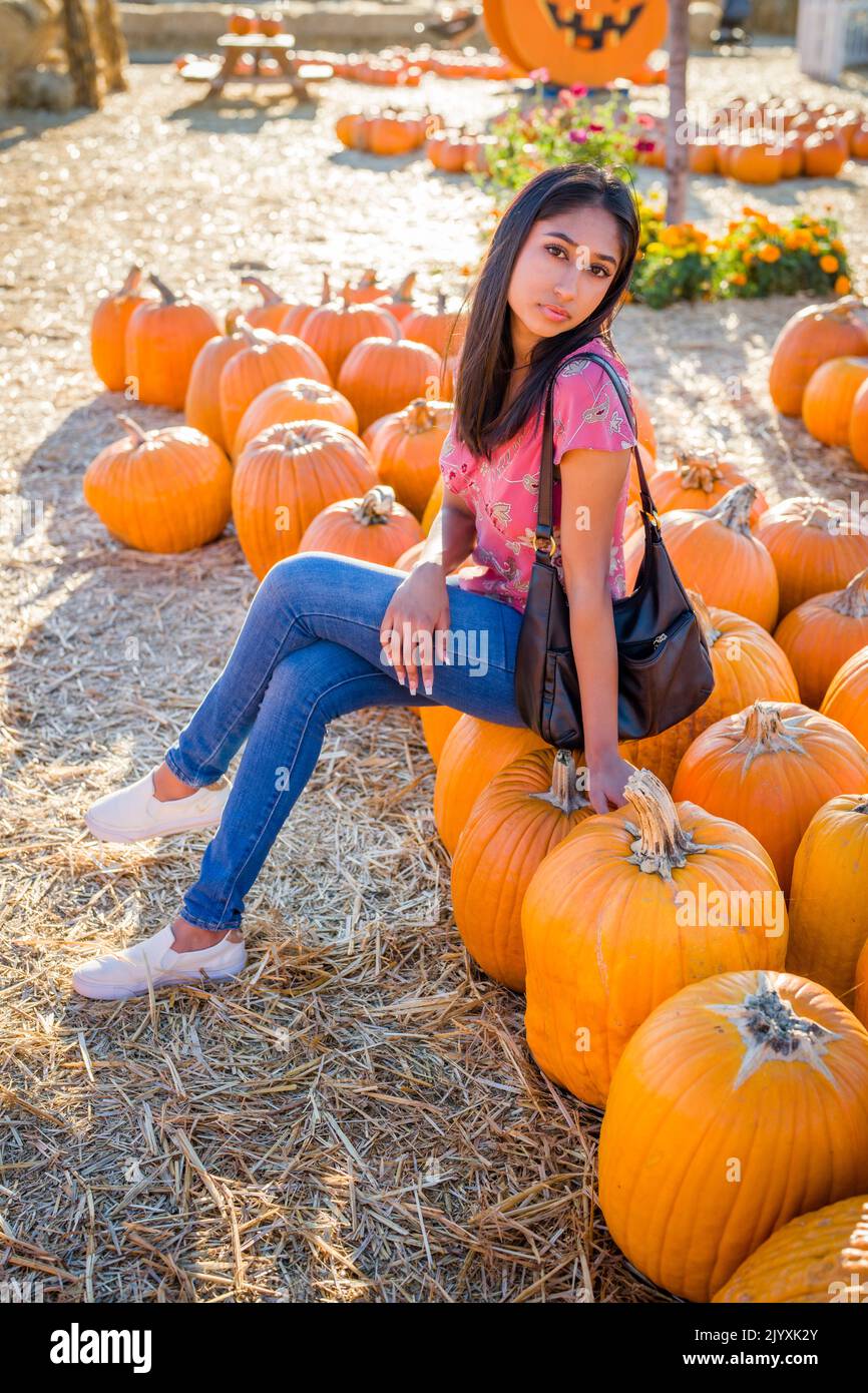 Fall Celebration Portrait of a Young Asian Woman Sitting in a Field of Pumpkins Stock Photo