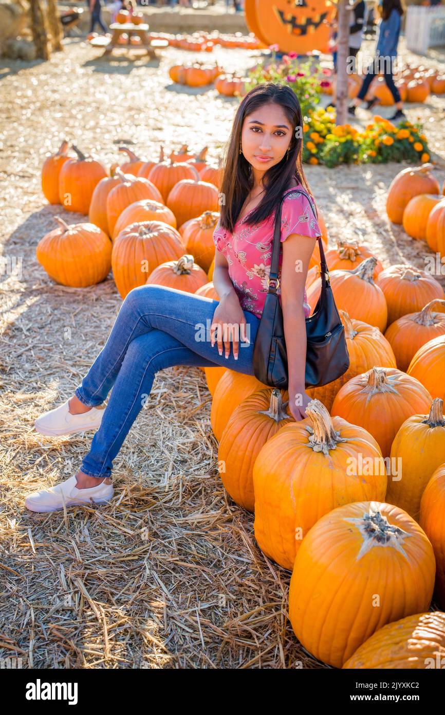 Fall Celebration Portrait of a Young Asian Woman Sitting in a Field of Pumpkins Stock Photo